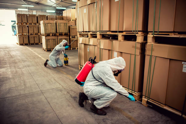 Best Commercial Pest Control Services  in Rantoul, IL