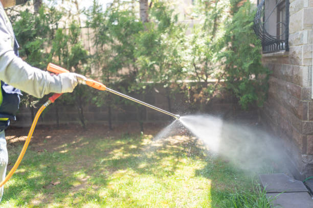 Best Spider Control Near Me  in Rantoul, IL