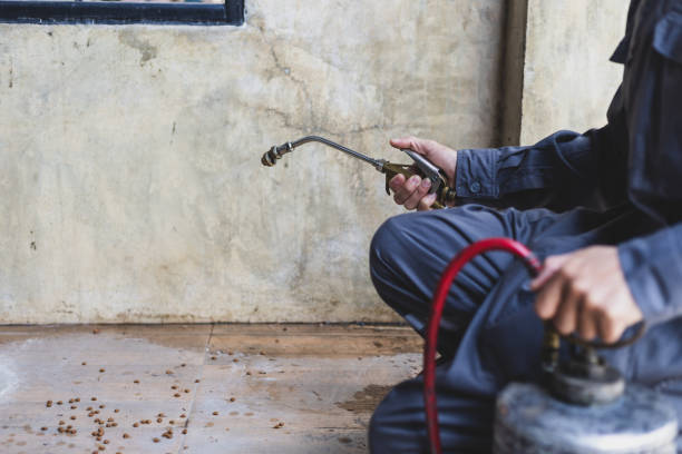 Best Best Pest Control Near Me  in Rantoul, IL